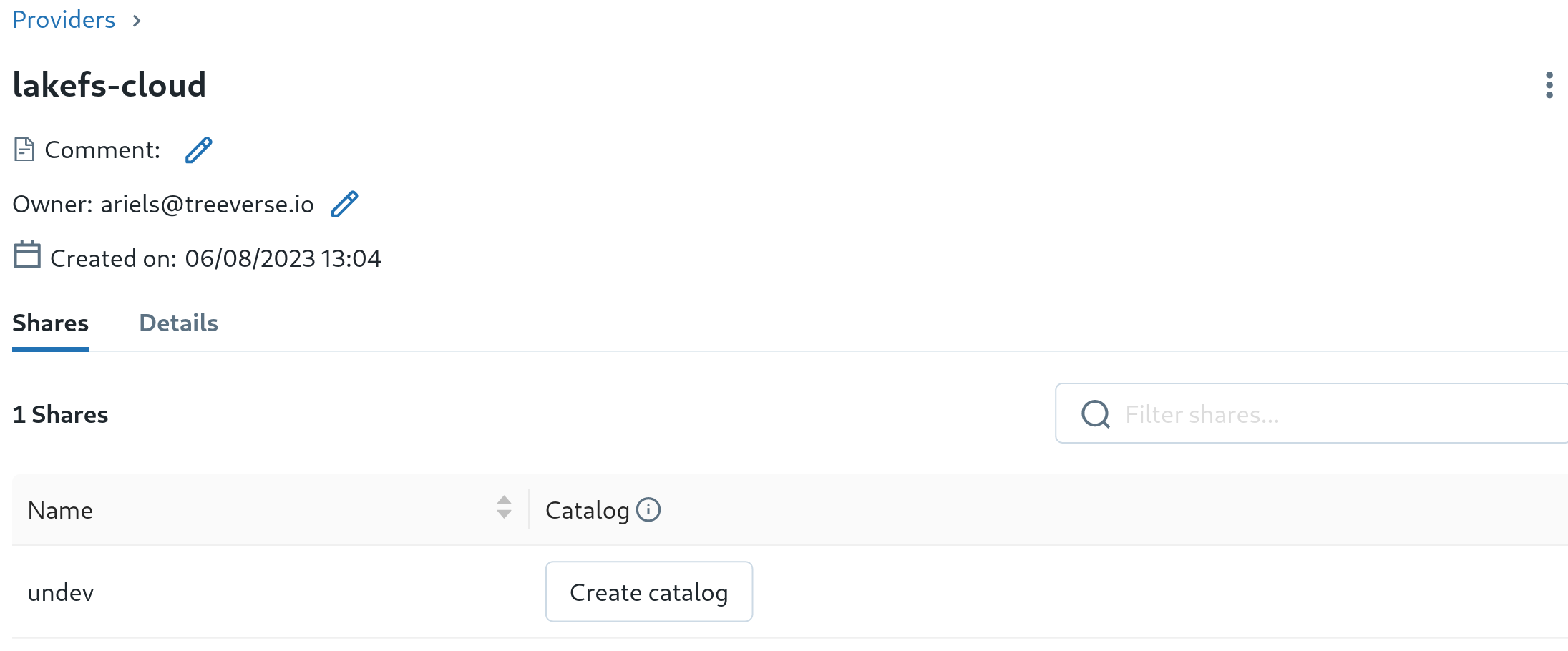 lakeFS-Cloud provider, showing share and create catalog
